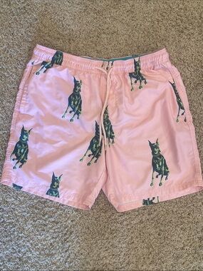 No Boundaries Pink and Teal Elastic Swim Shorts
